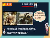 人教鄂教版五年级上册2.7《灭绝的远古动物》课件