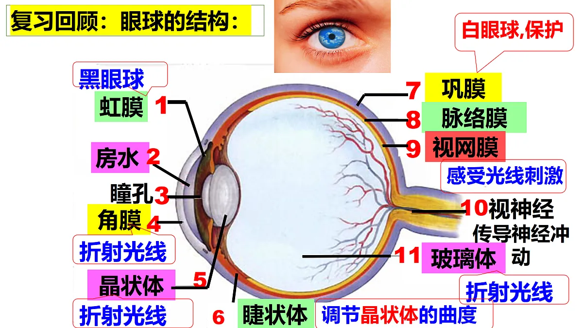 17311485第1页