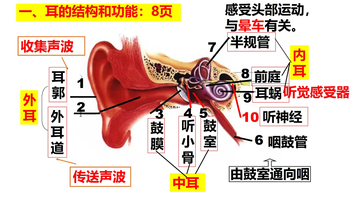17311485第3页