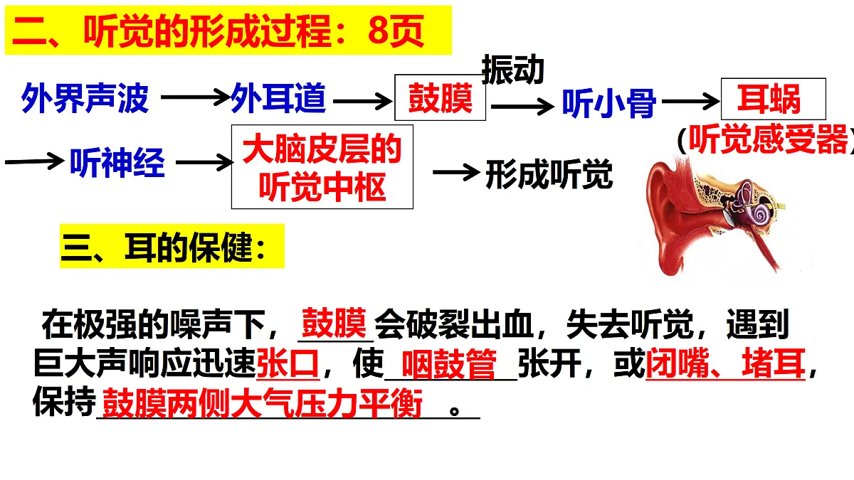 17311485第4页