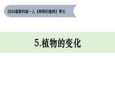 2025年秋新教科版一年级科学上册 1-5 《植物的变化》课件