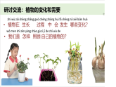 2025年秋新教科版一年级科学上册 1-5 《植物的变化》课件