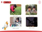2025年秋苏教版一年级科学上册1.1《小小科学家 》（课件）
