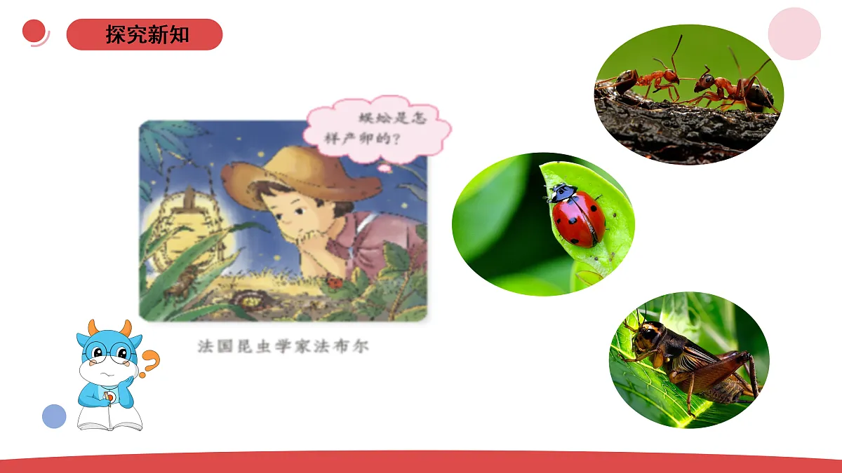 17311634第4页