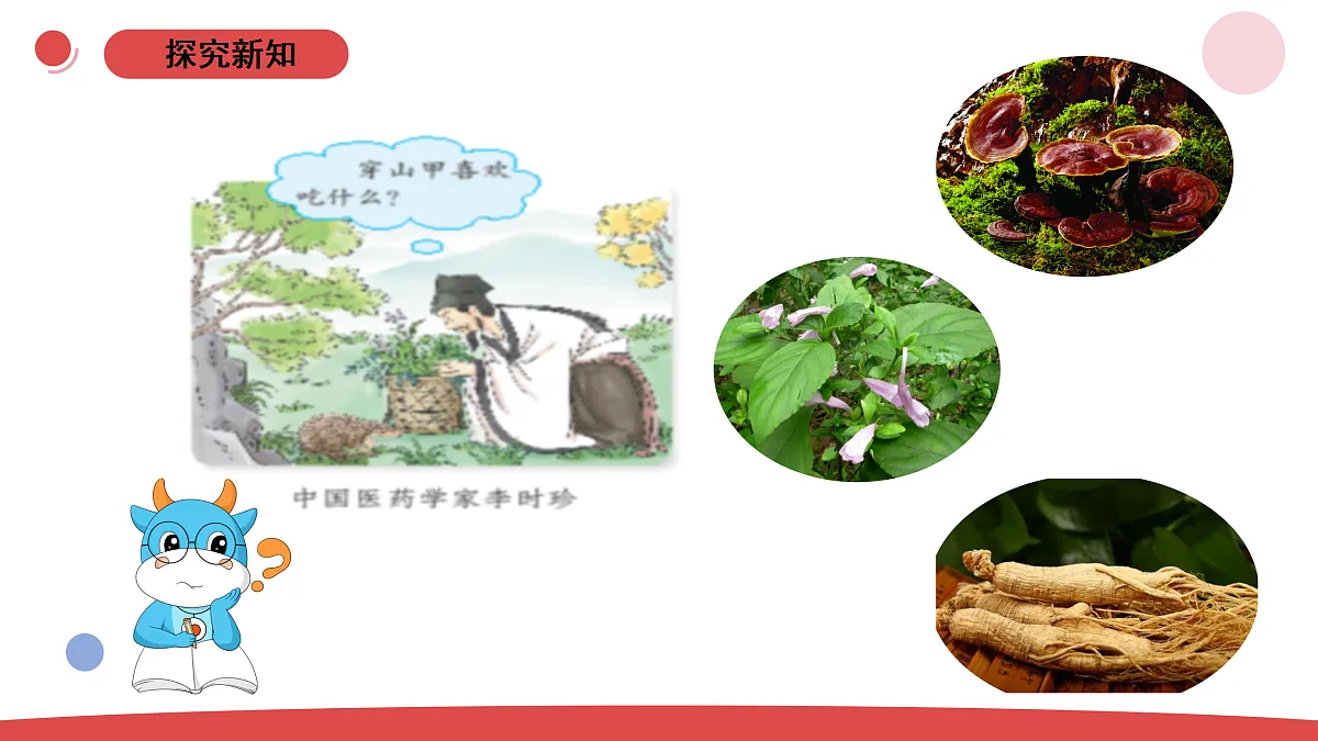 17311634第5页