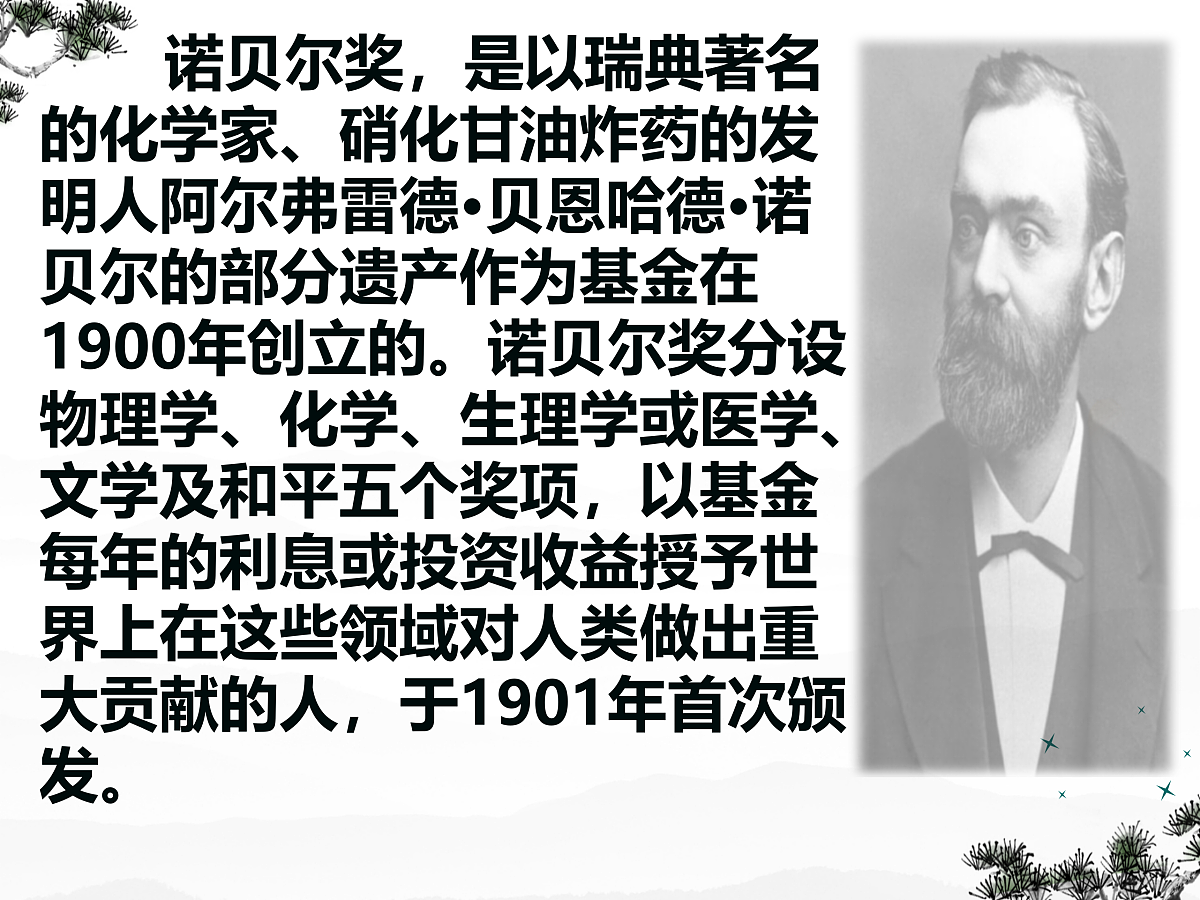 17311949第3页
