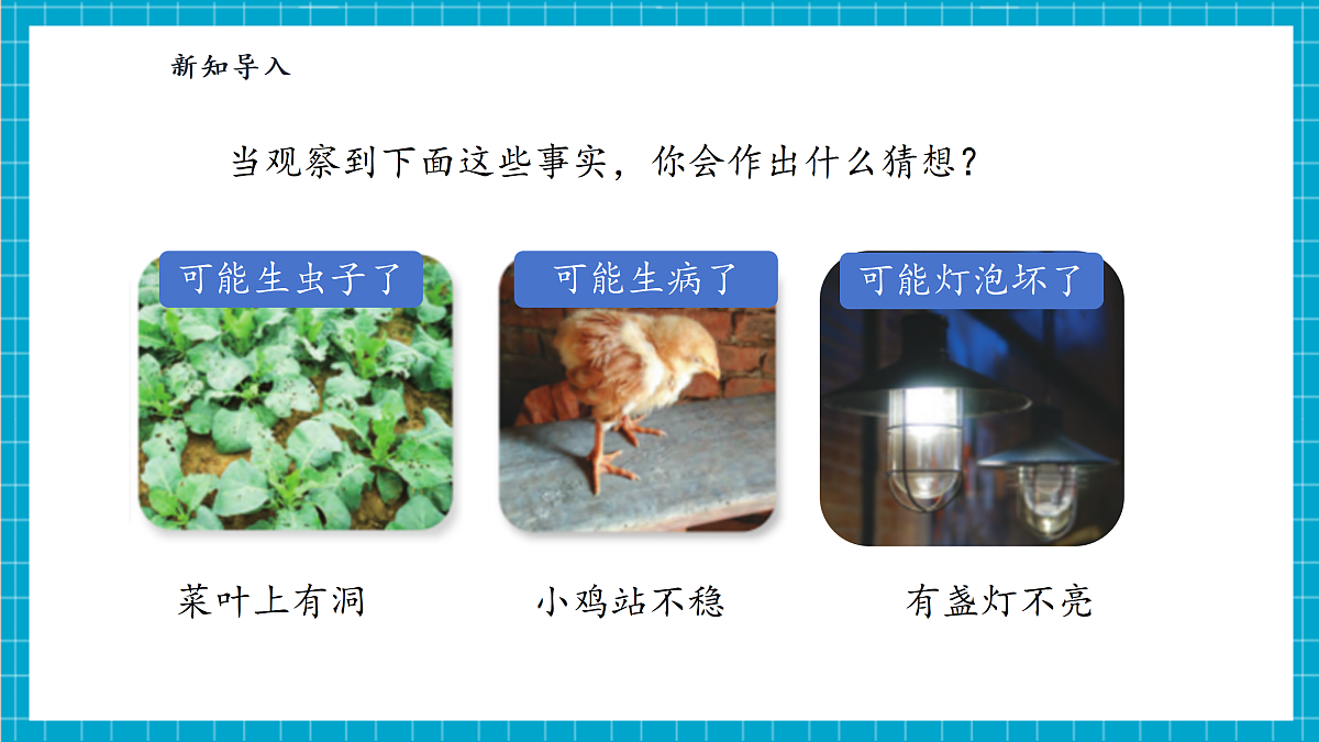 【大单元整体教学】3.7《事实与猜想》课时课件第6页