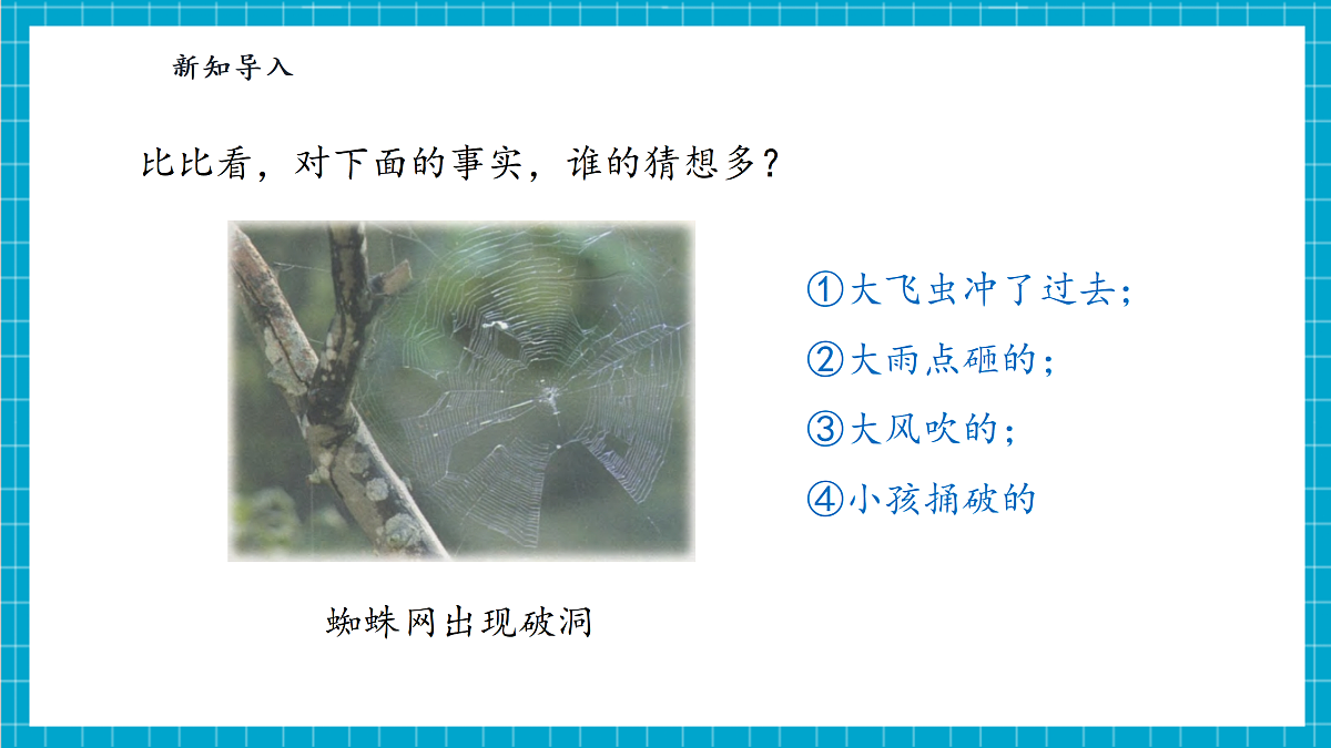 【大单元整体教学】3.7《事实与猜想》课时课件第7页