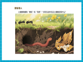 【新教材新课标】苏教版科学三年级上册1.1《土壤里有什么》教学课件+教学设计（表格式）
