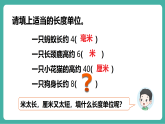 【新教材新课标】人教版数学三年级上册第3单元第2课时《分米的认识》教学课件