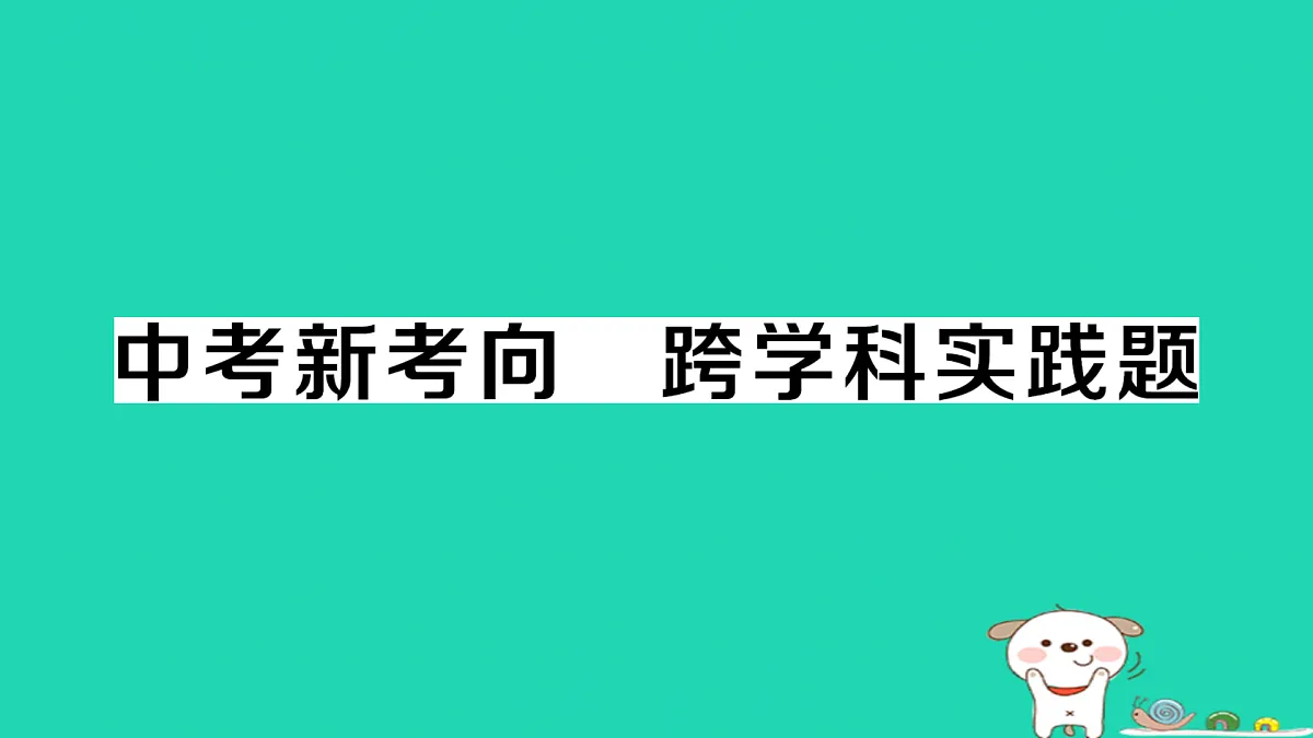 17312611第1页