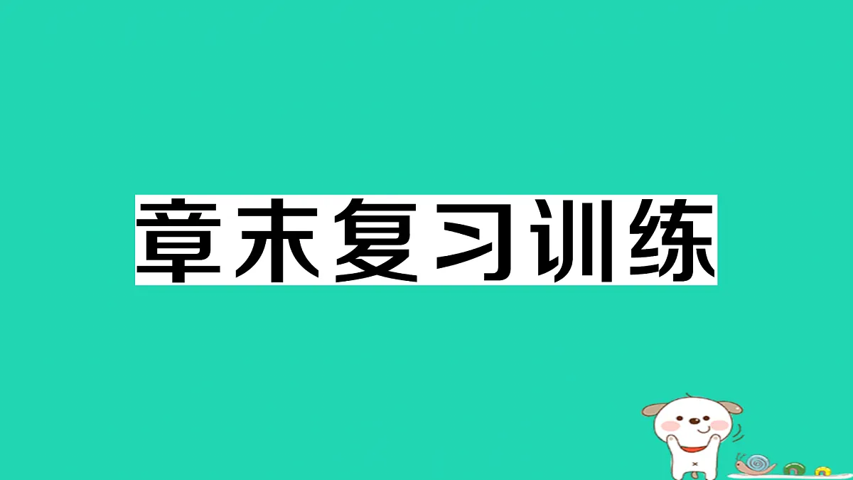 17312625第1页