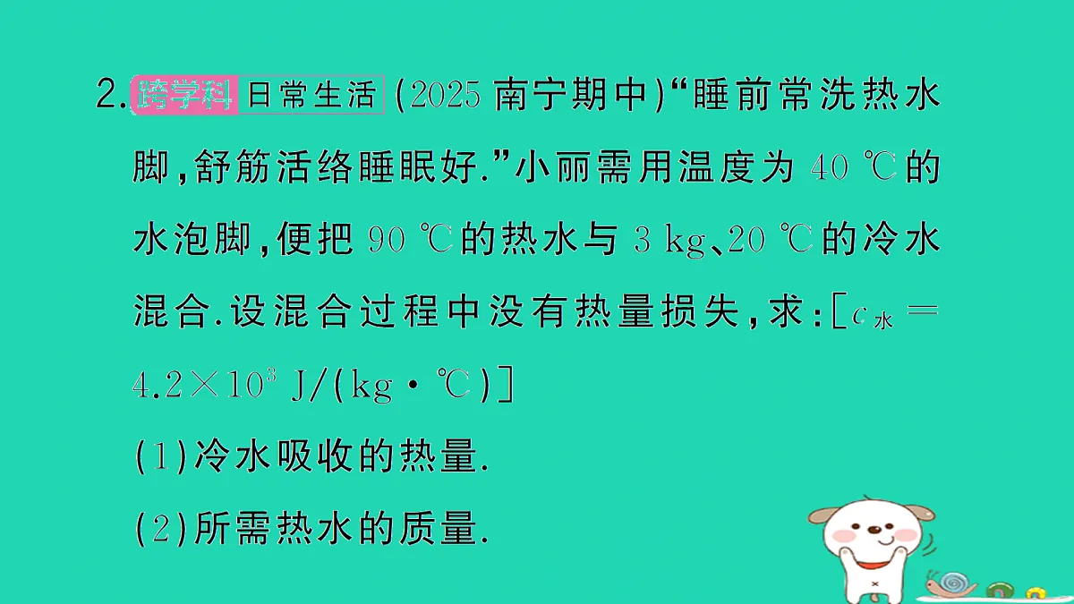 17312625第8页