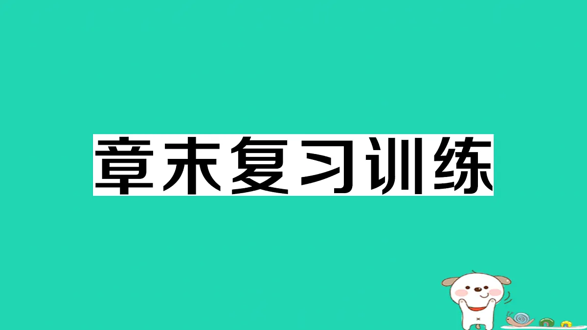 17312626第1页