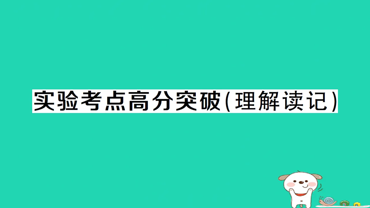 17312637第1页