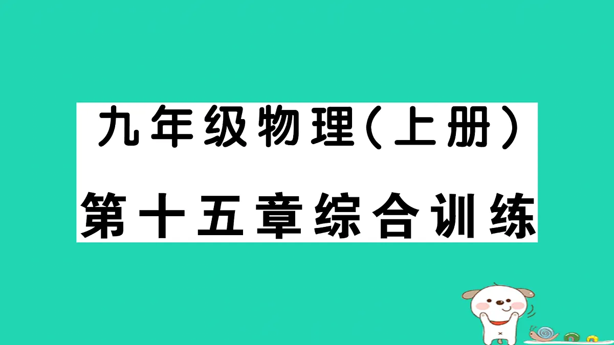 17312643第1页