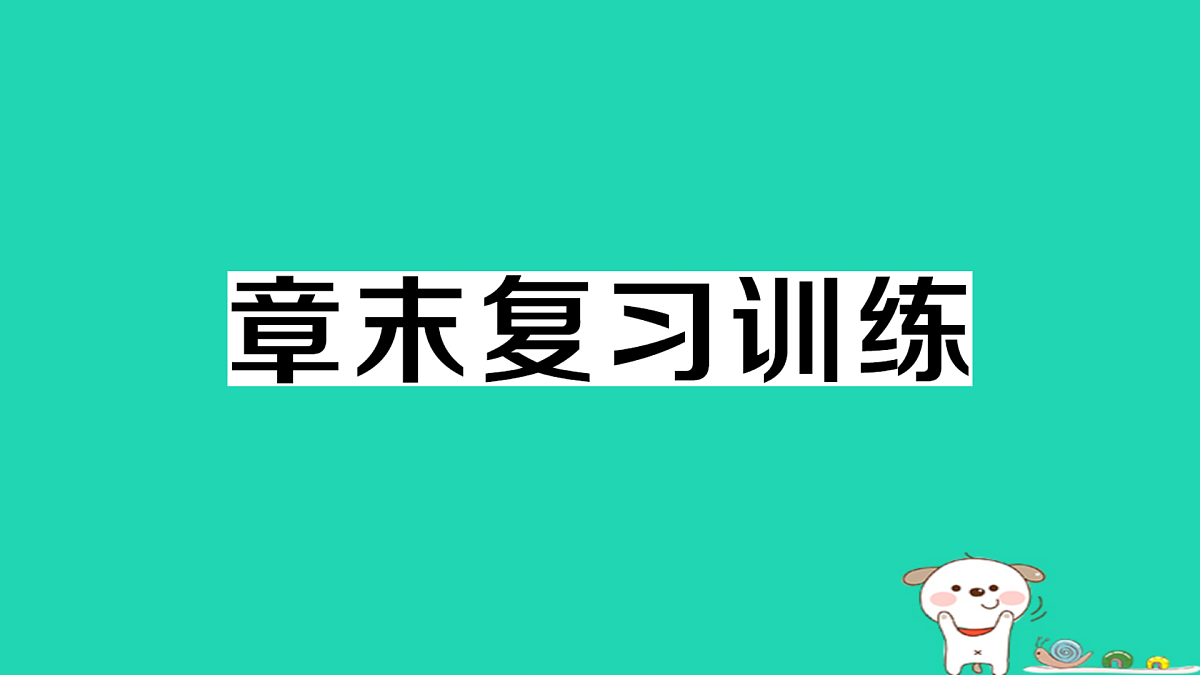 17312647第1页