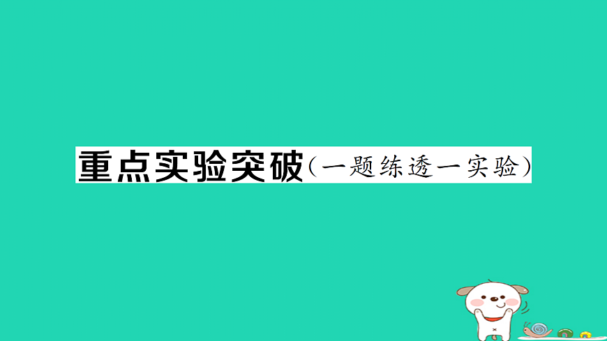 17312656第1页