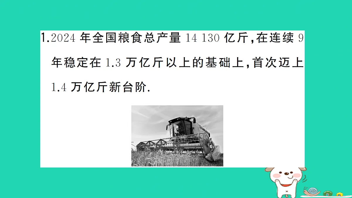 17312672第3页