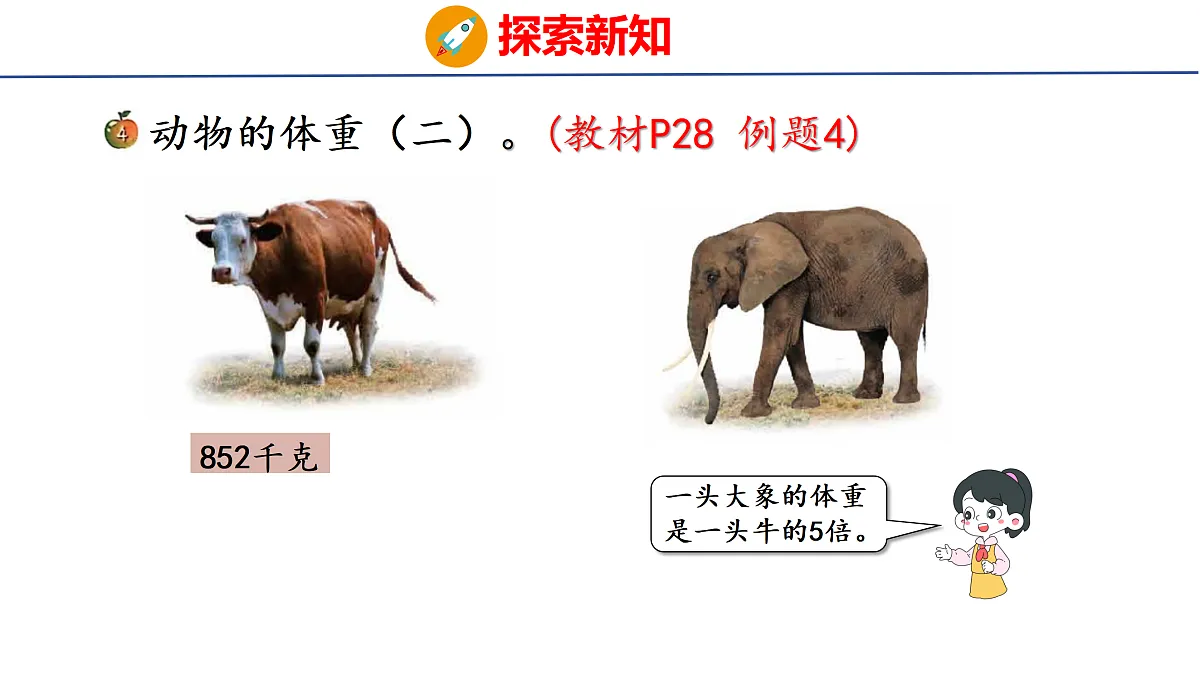 17312977第4页