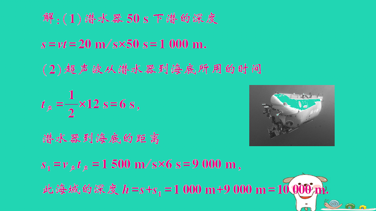 17313005第3页