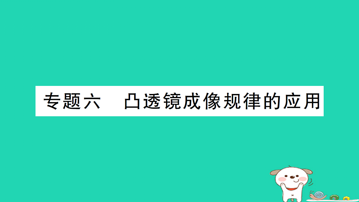 17313017第1页