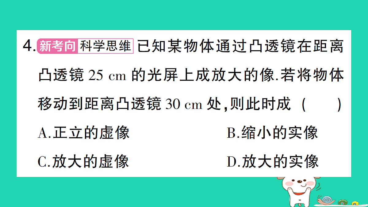 17313017第5页