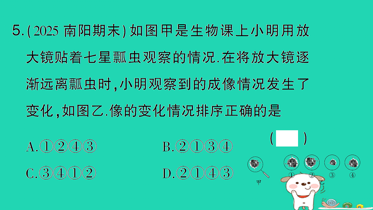 17313017第6页