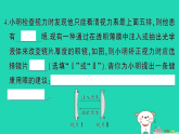 2025八年级物理上册第四章神奇的透镜综合训练作业课件新版沪科版（含答案）