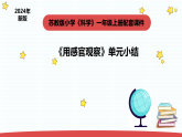2025年秋苏教版一年级科学上册2.4《用感官观察》单元小结（课件）