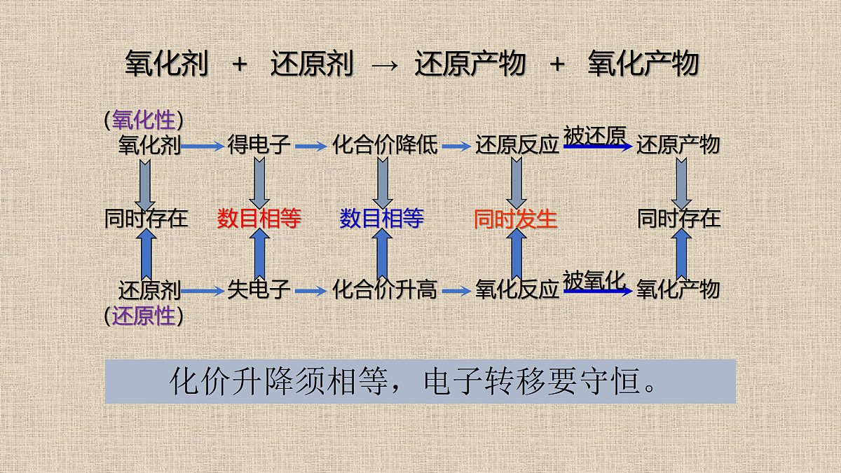 17313130第5页