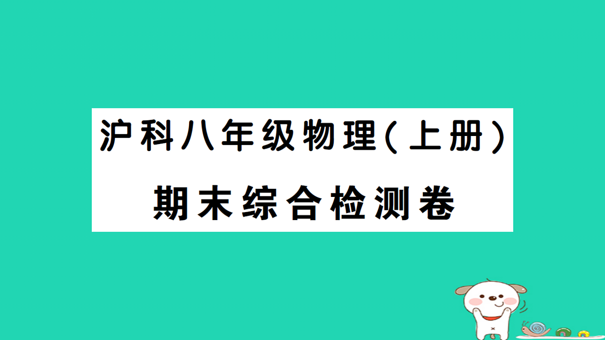 17313135第1页