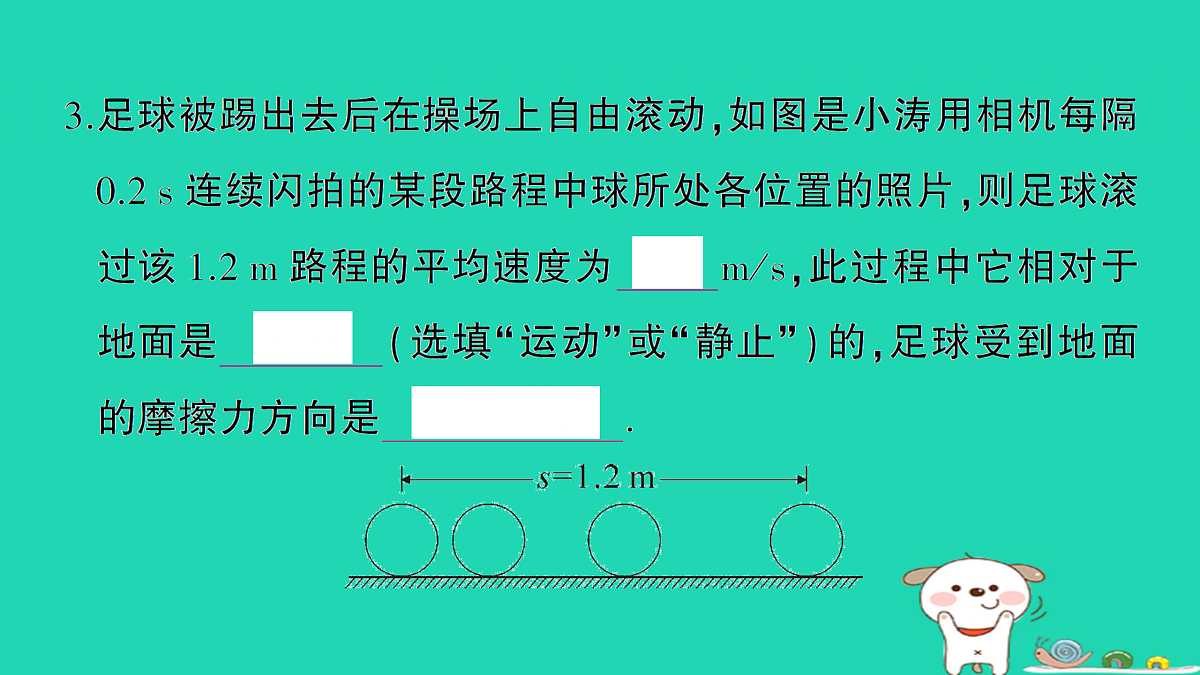17313135第4页
