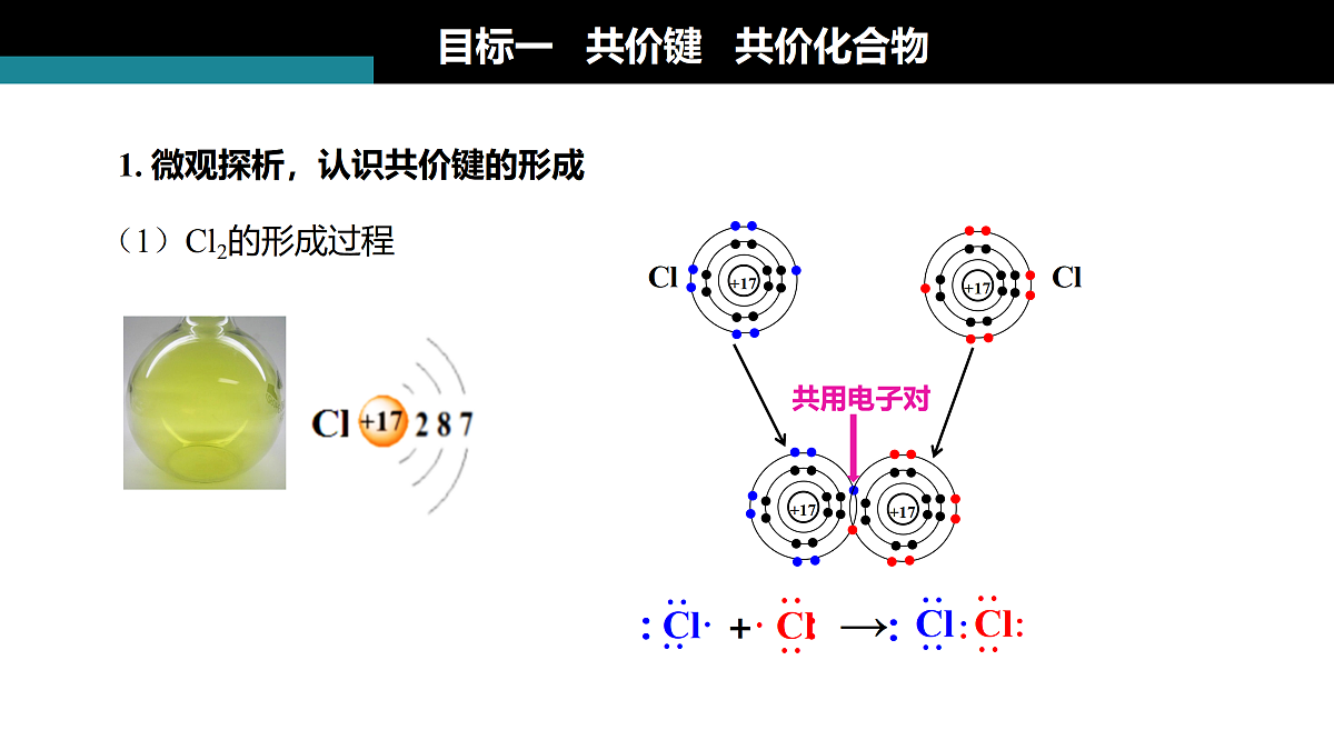 17313144第3页
