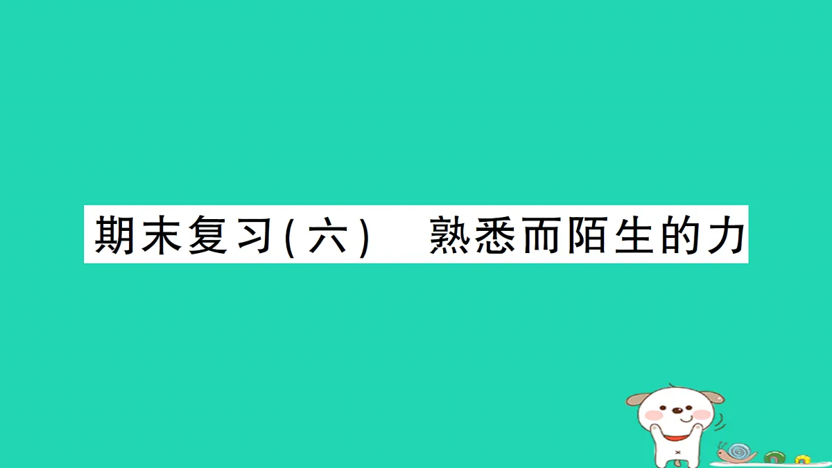 17313154第1页