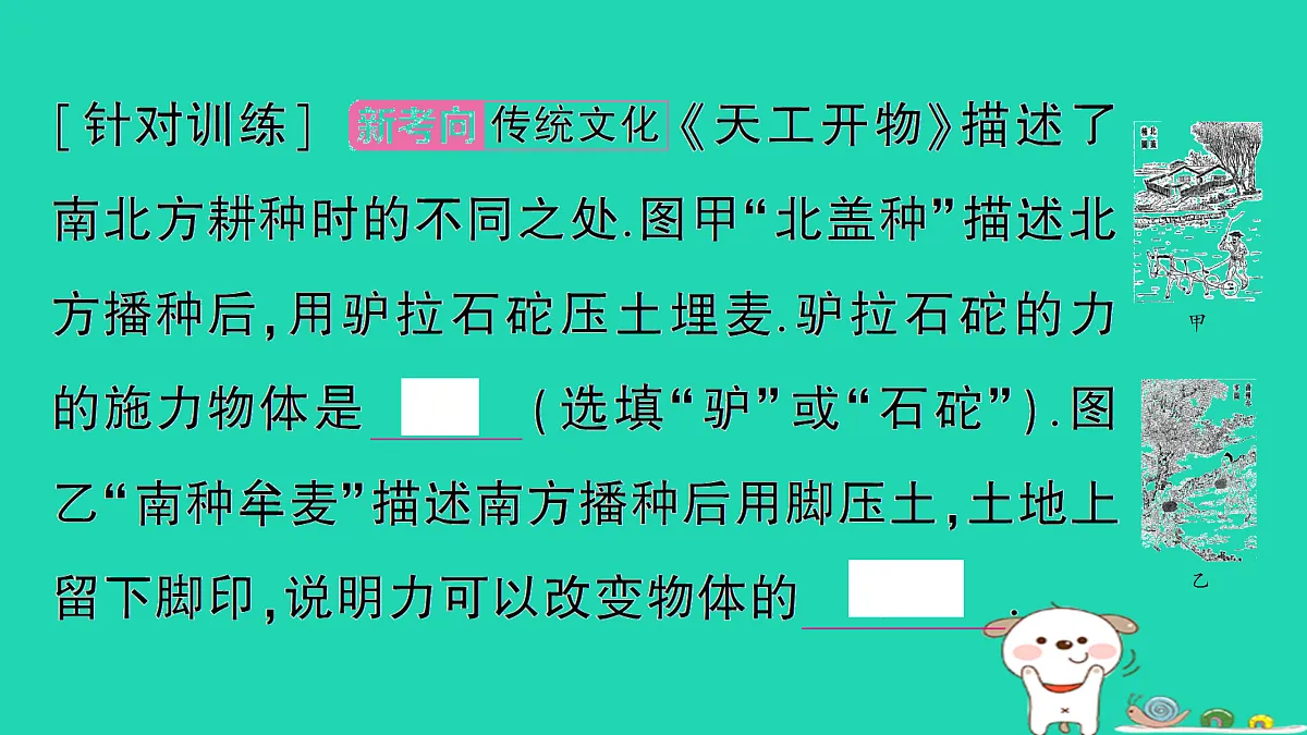 17313154第3页