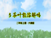 （2025新版）《茶叶能溶解吗》大象版科学二年级上册课件