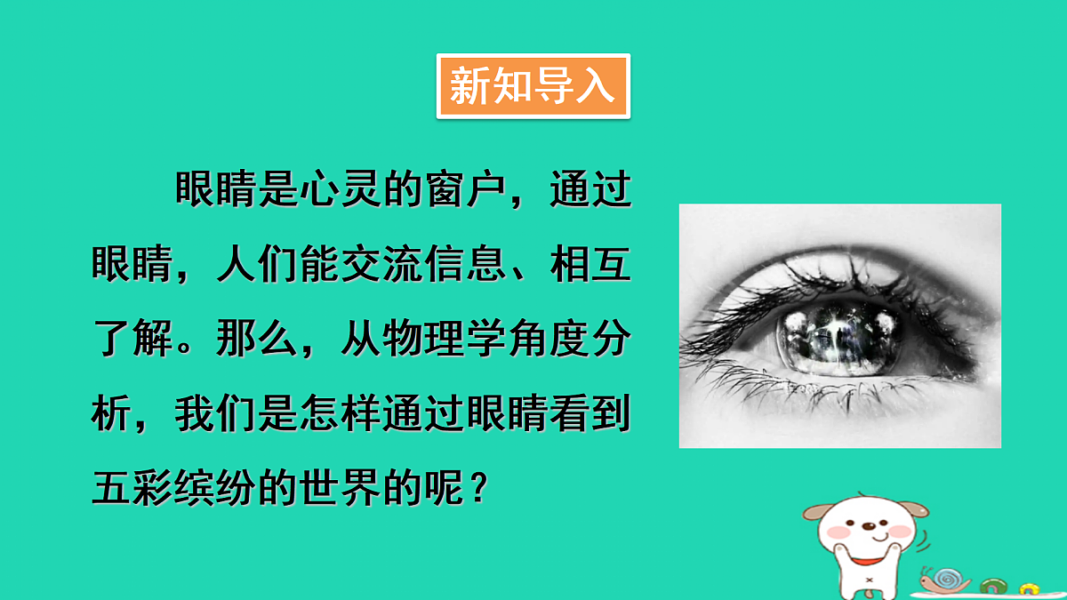 第1课时 眼睛与视力矫正第3页