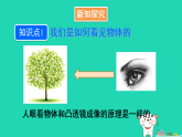 2025八年级物理上册第四章神奇的透镜第三节神奇的“眼睛”第一课时眼睛和视力矫正上课课件新版沪科版