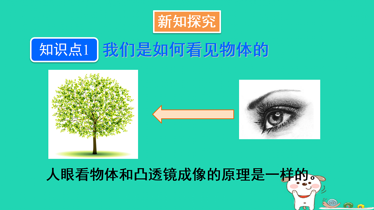 第1课时 眼睛与视力矫正第4页