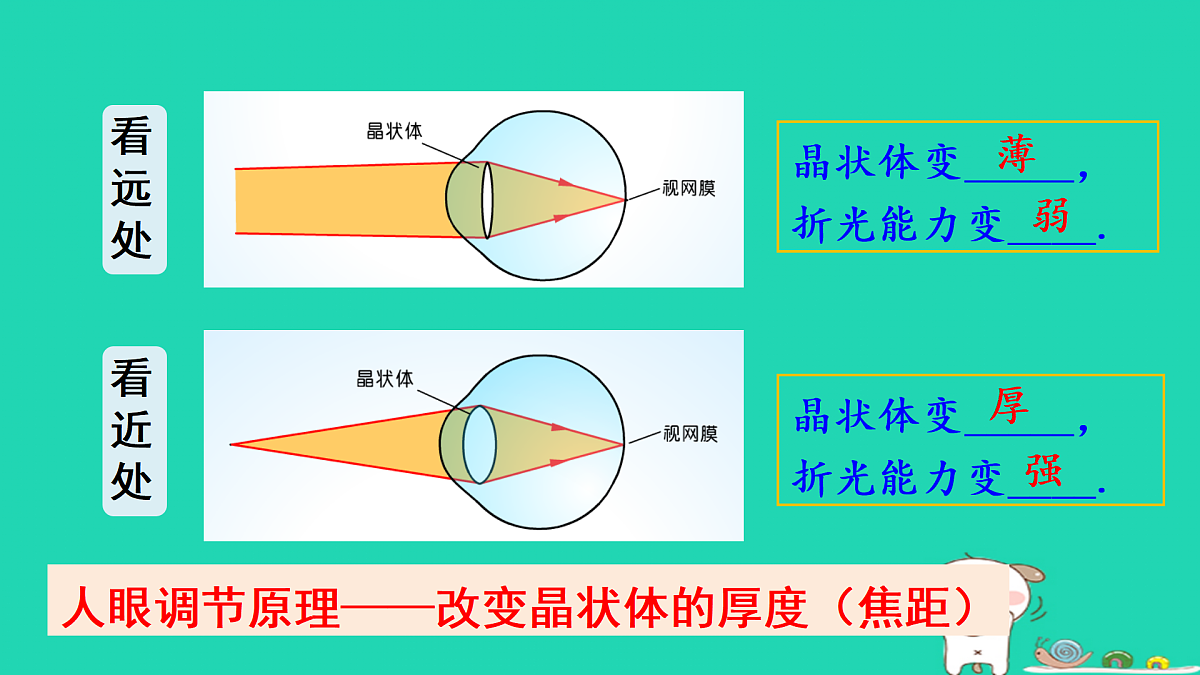 第1课时 眼睛与视力矫正第8页
