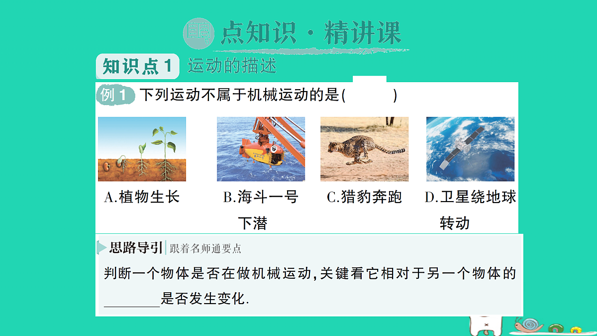 17313529第2页