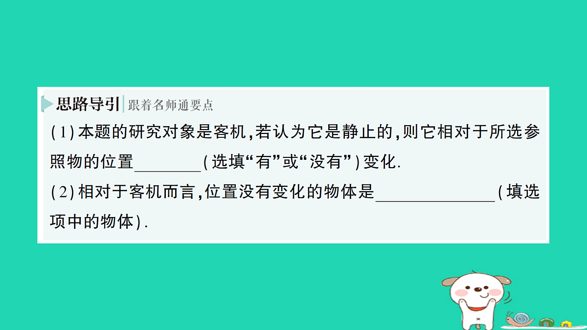 17313529第5页