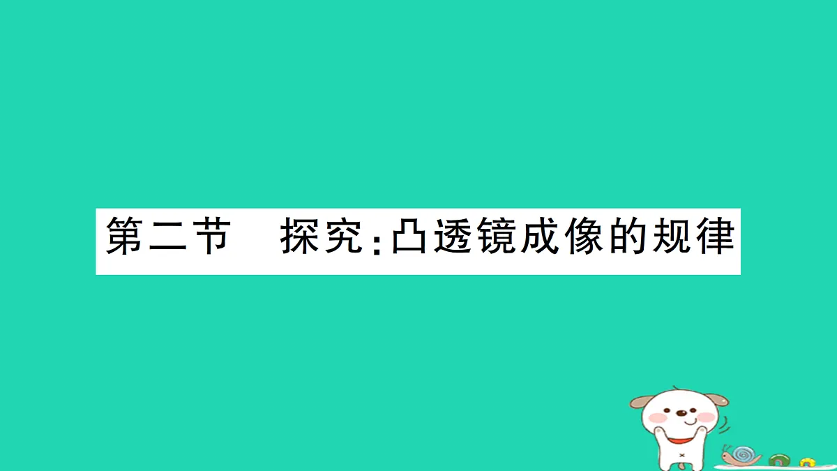 17313543第1页