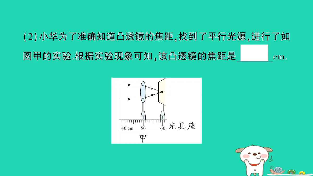 17313543第3页