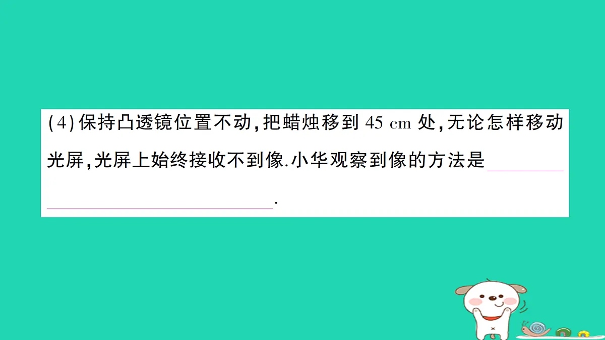 17313543第5页