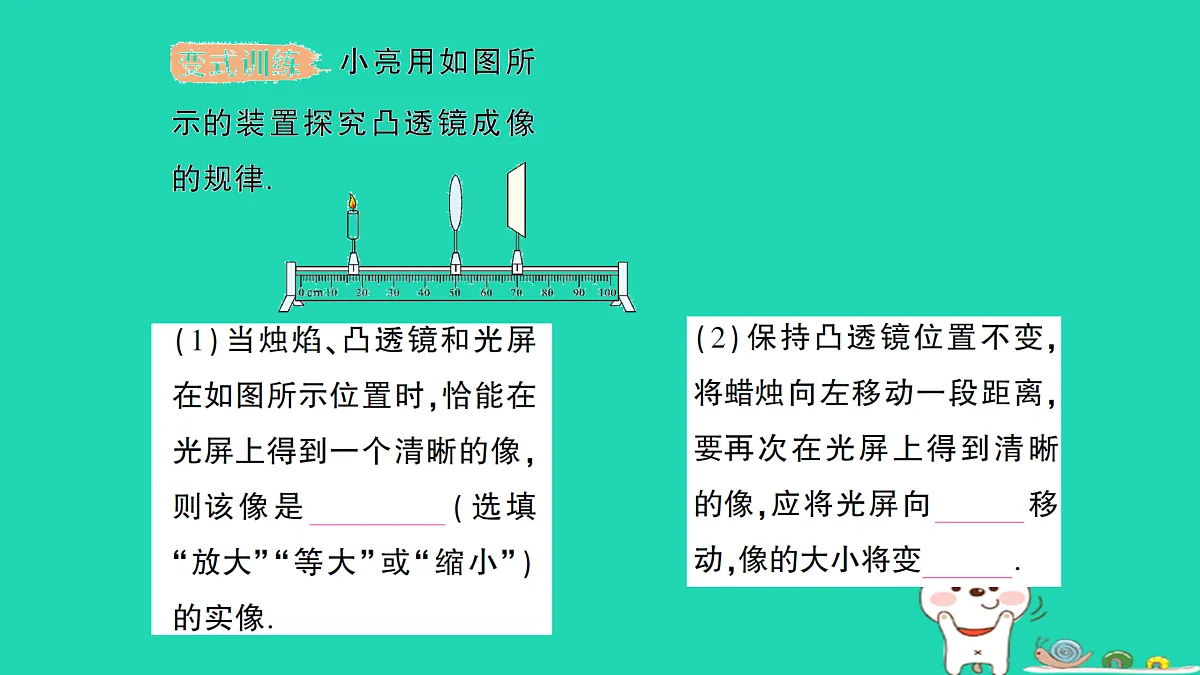 17313543第7页