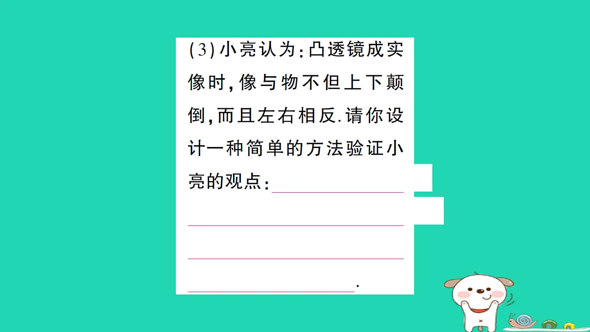 17313543第8页