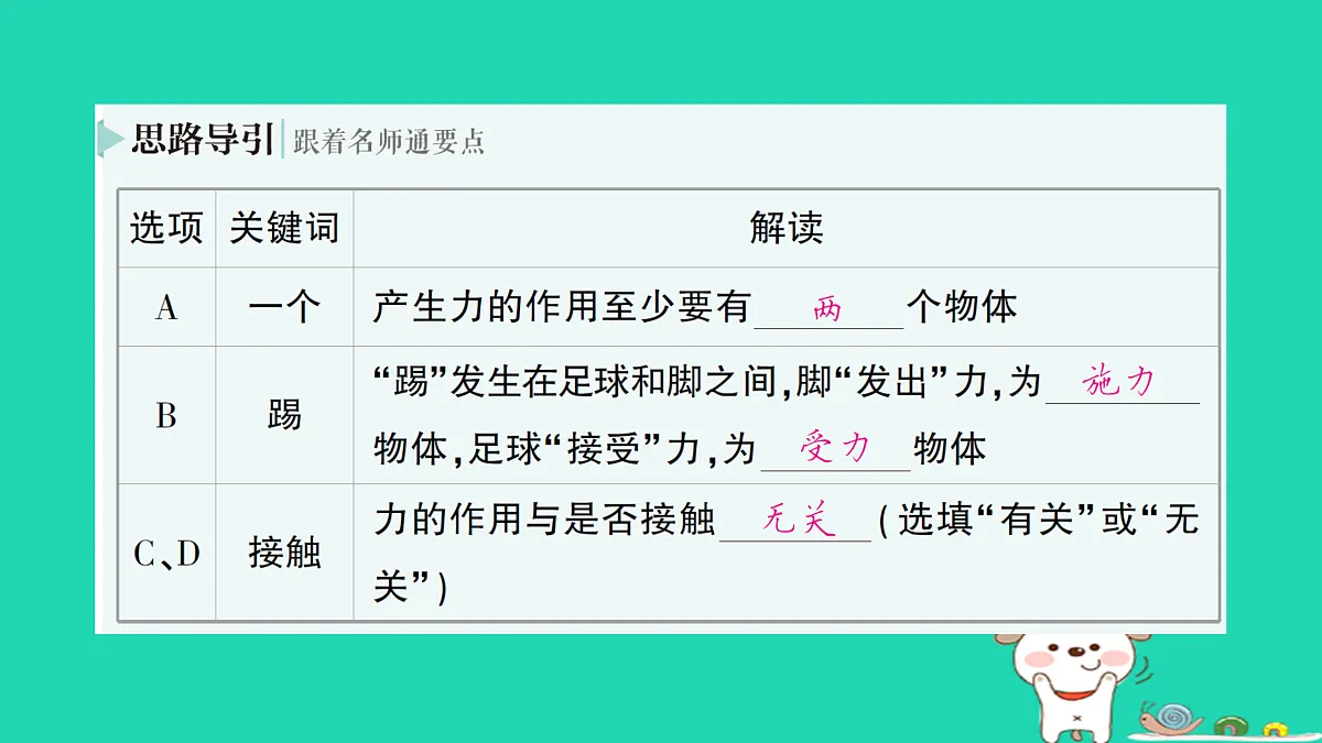 17313550第3页
