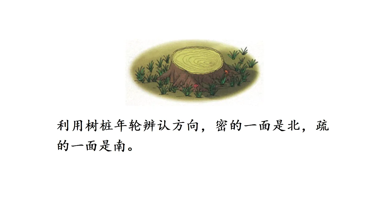 第1课时 认识东南西北第8页